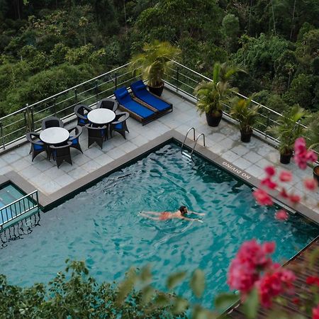 全景逍遥酒店 蒙纳 外观 照片 The swimming pool at the hotel
