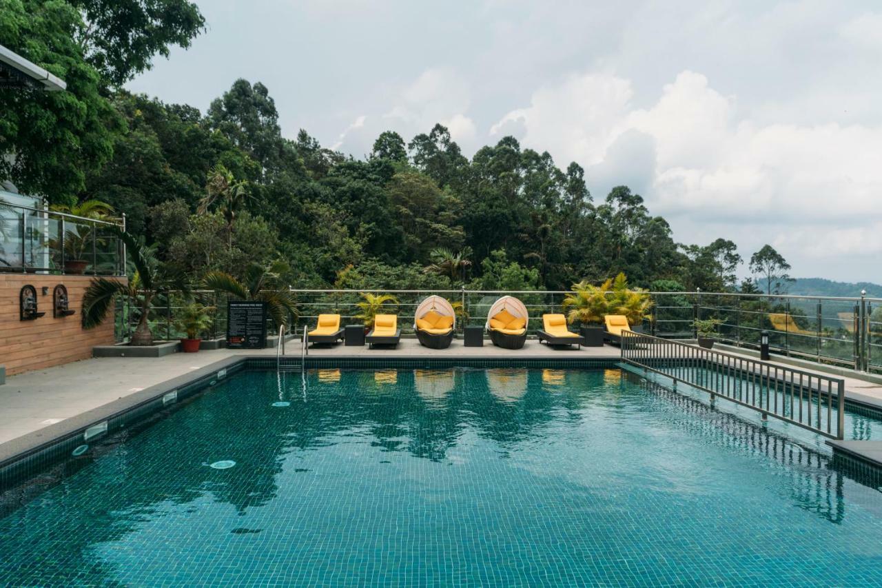 全景逍遥酒店 蒙纳 外观 照片 The swimming pool at the resort