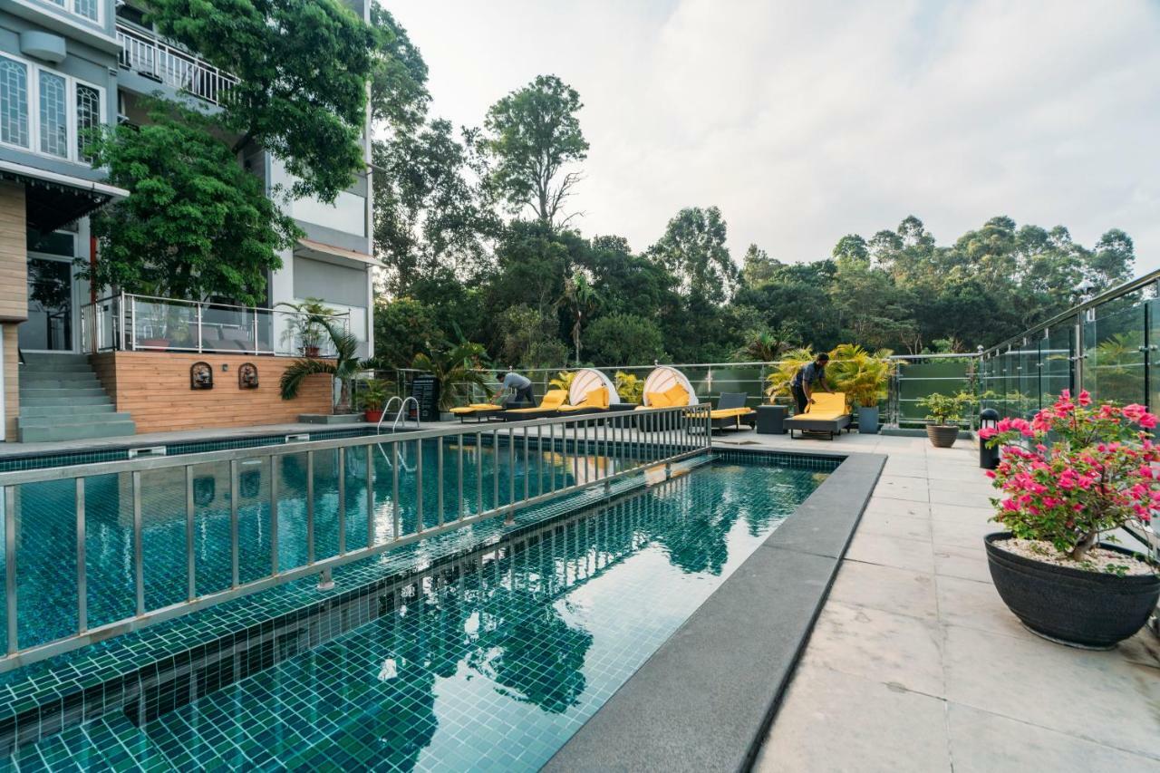 全景逍遥酒店 蒙纳 外观 照片 The swimming pool at the hotel